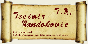 Tešimir Mandoković vizit kartica
